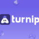 Turnip logo
